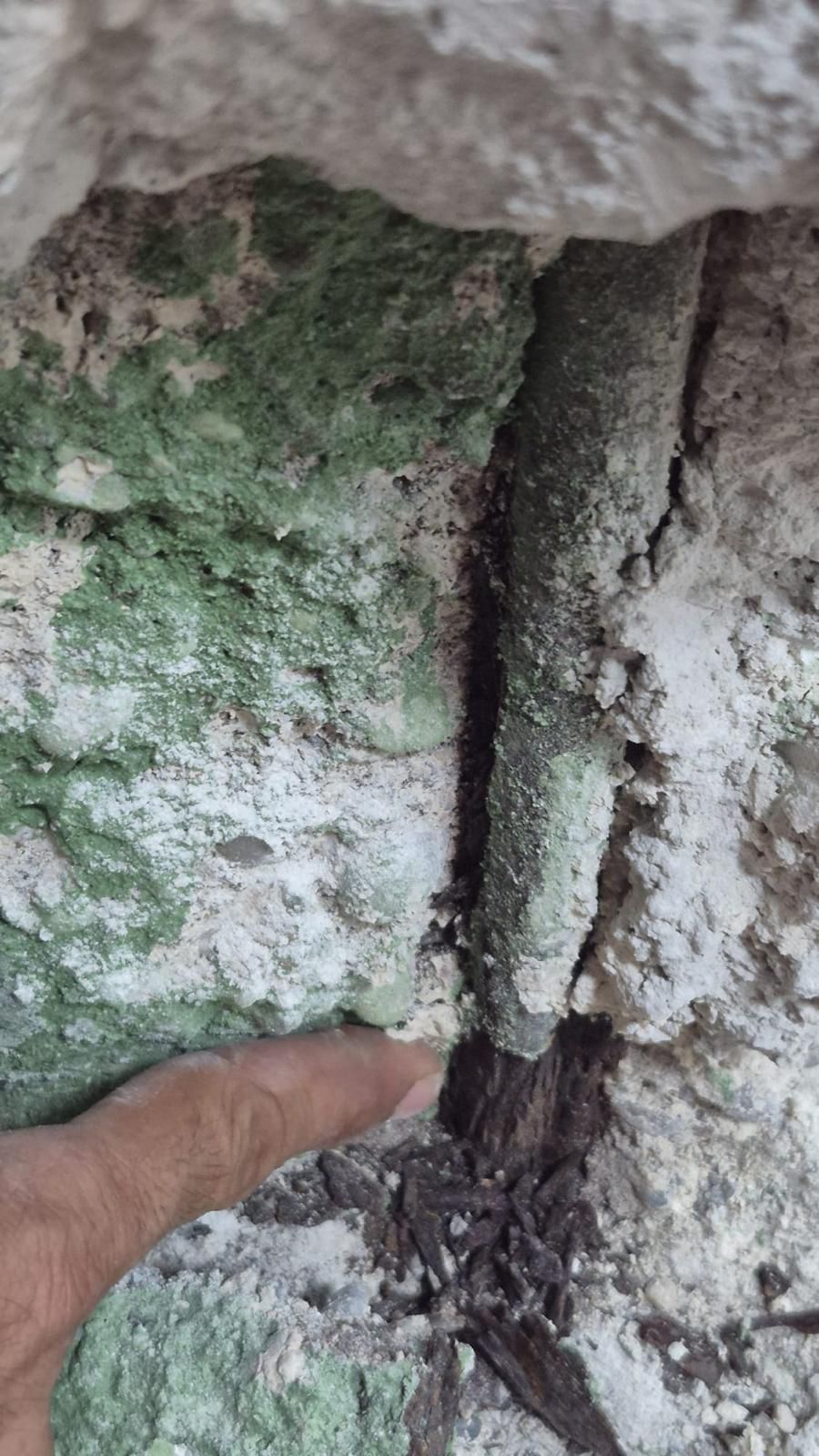 Tarihinkalbiyenidenatiyorantalyamuzesiyenileniyor