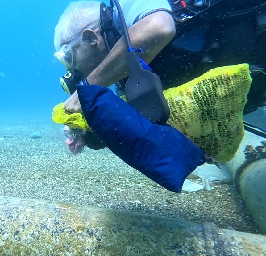 Tatlisulardakirlilik