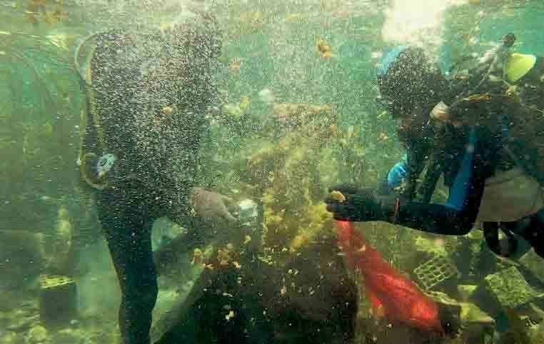 Tatlisulardakomplekirlilikvar