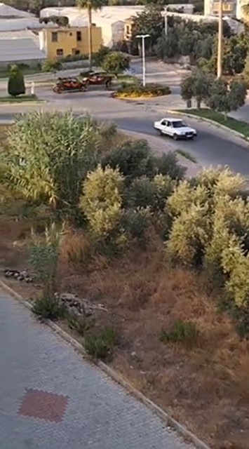 Trafikmaganandalarinabinlerceliracezayagdi