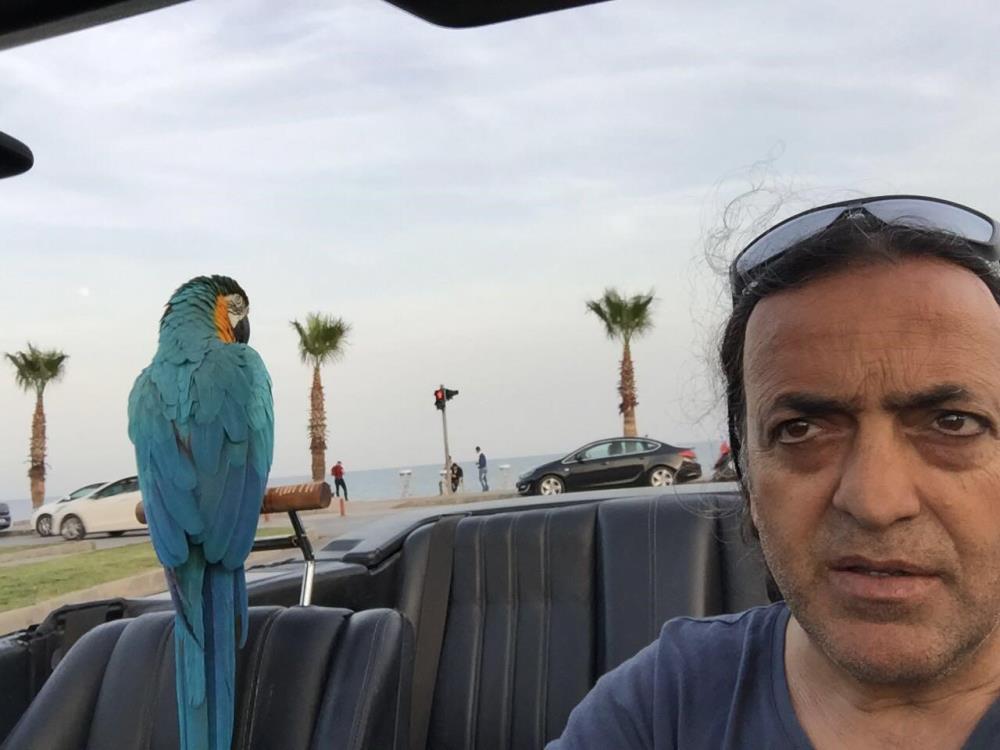 Turgutozelinpapaganicabbarcalindi