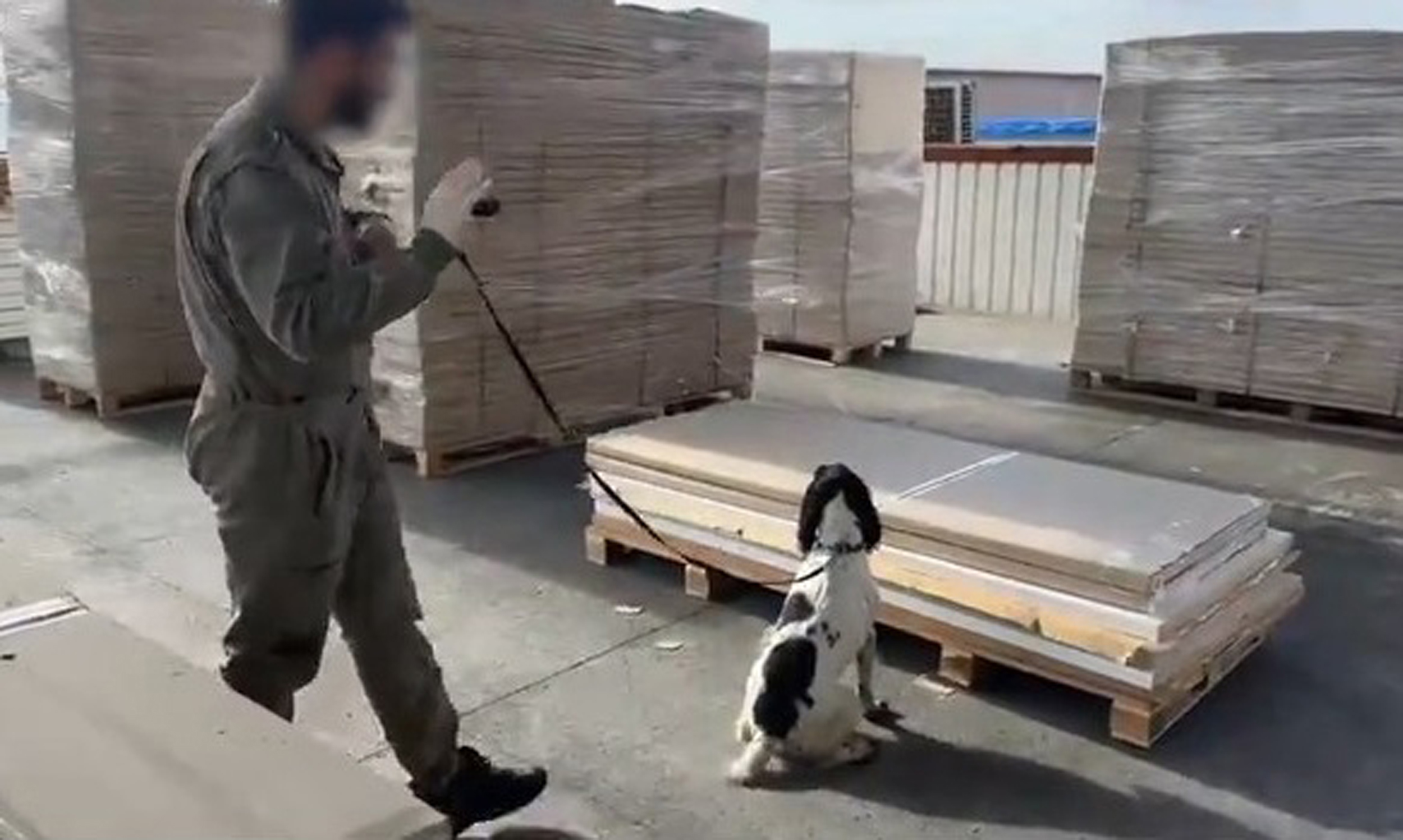 Turkiyedeyasaklimaddeyegecityok