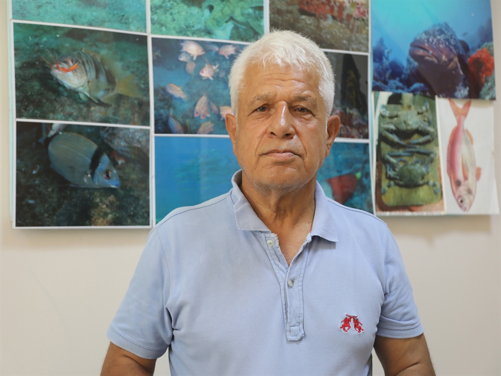 Uzmanlardanbalonbaligiaciklamasi