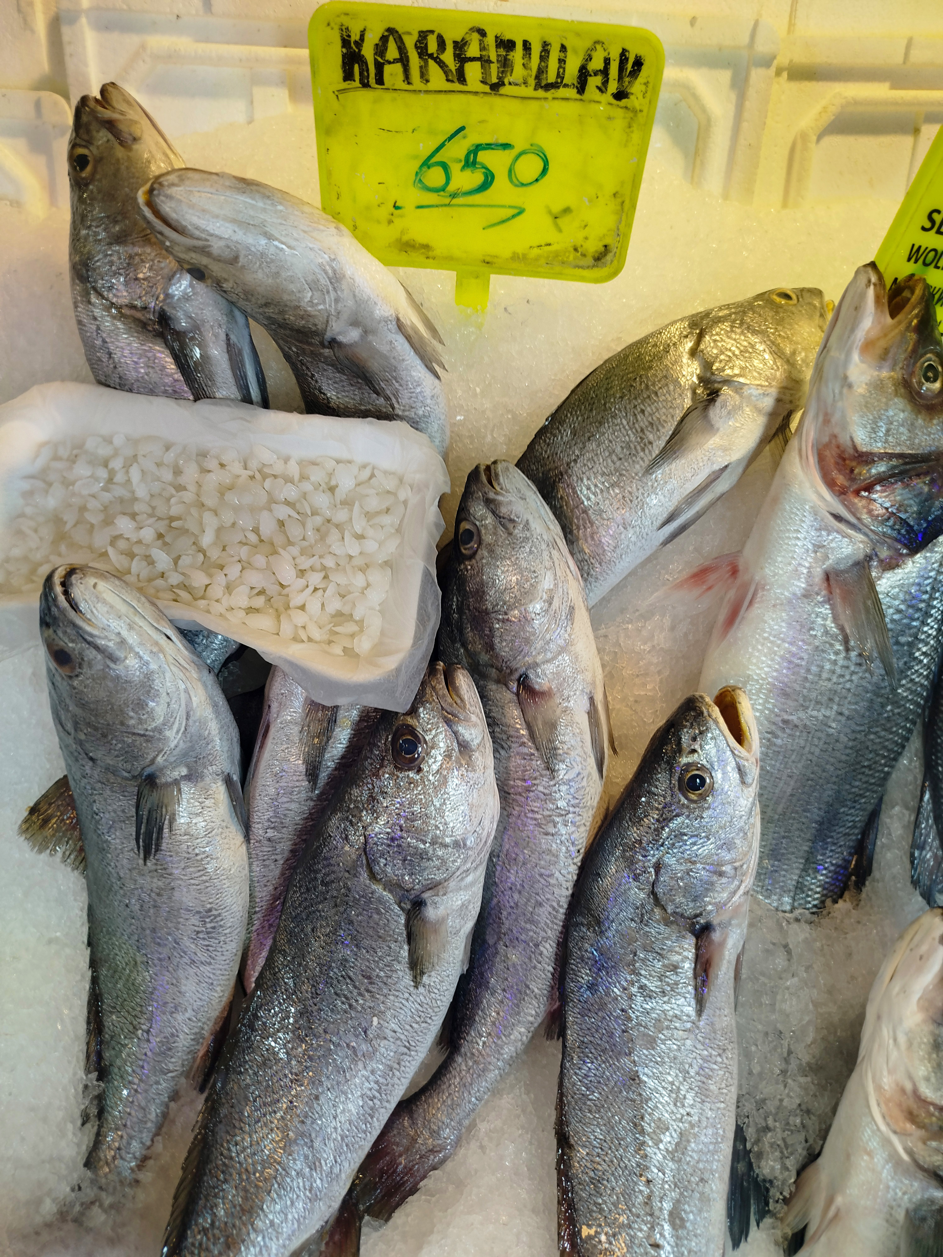 10Binedebalikvar650Lirayada