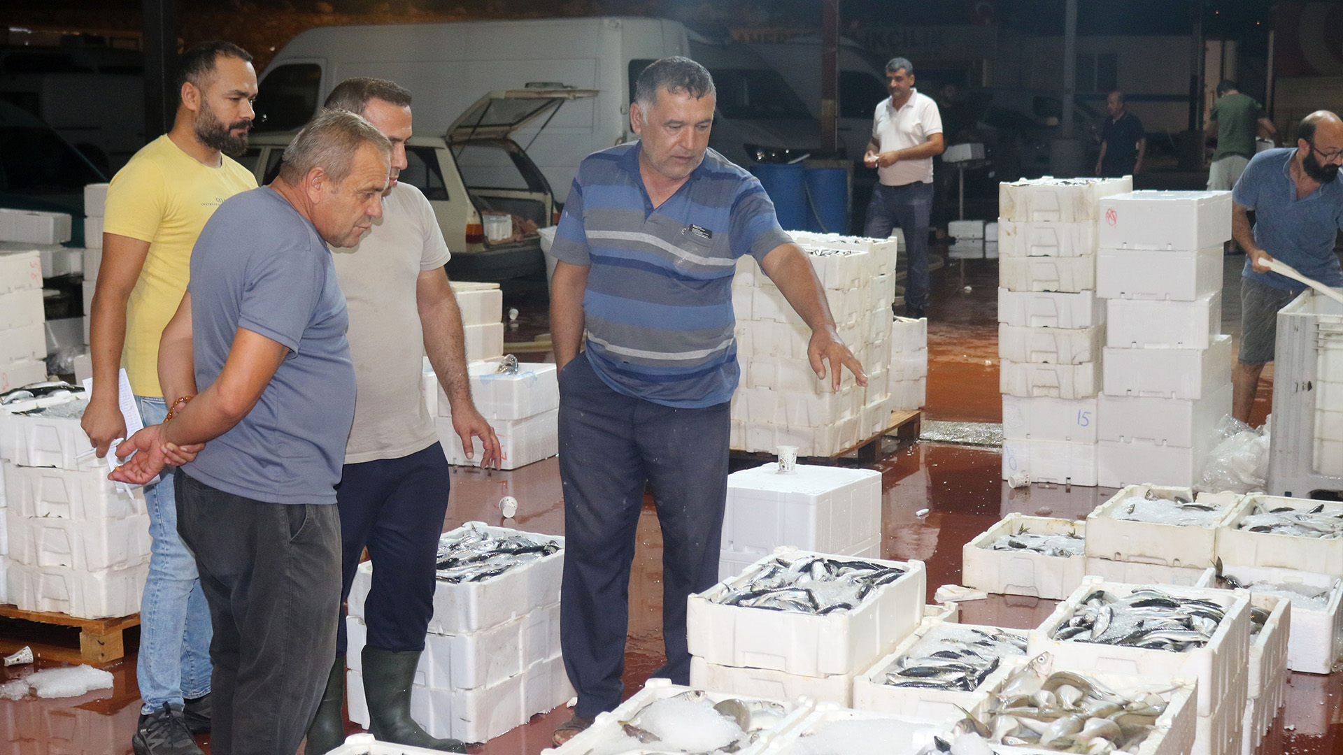 Akdenizdeavyasagisonaerdi