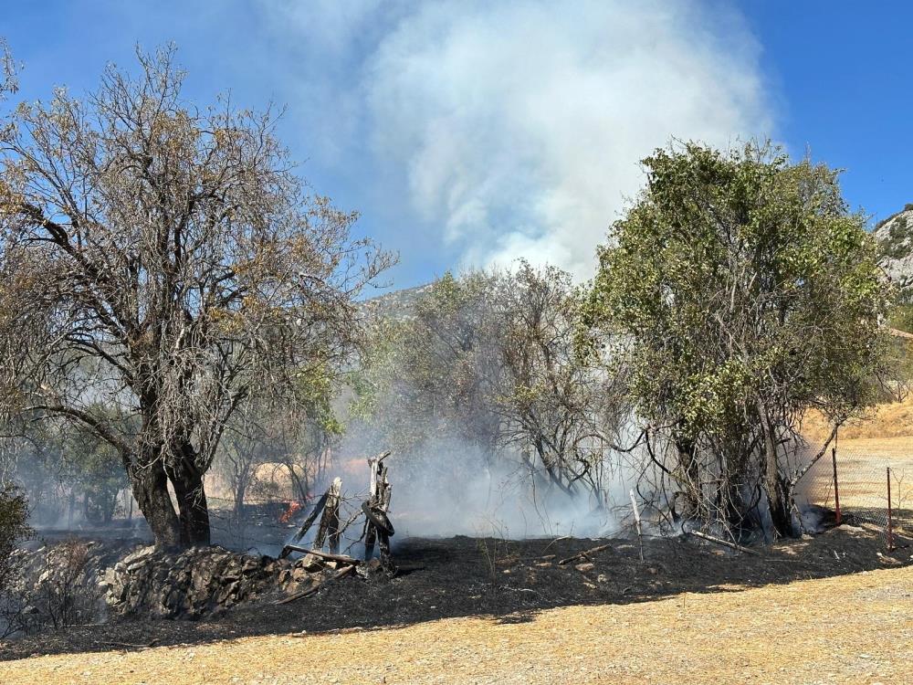 Aksekideyangincemberi