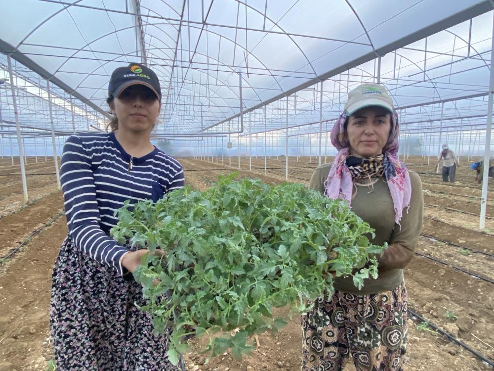 Aksuda50Bindekaralanaekildi