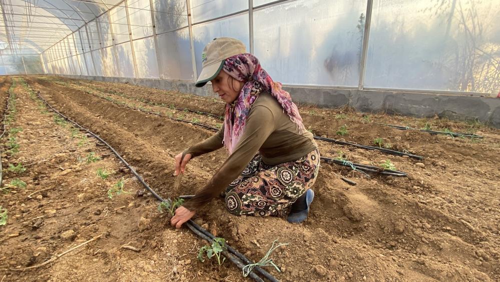 Aksudafideekimiyapildi