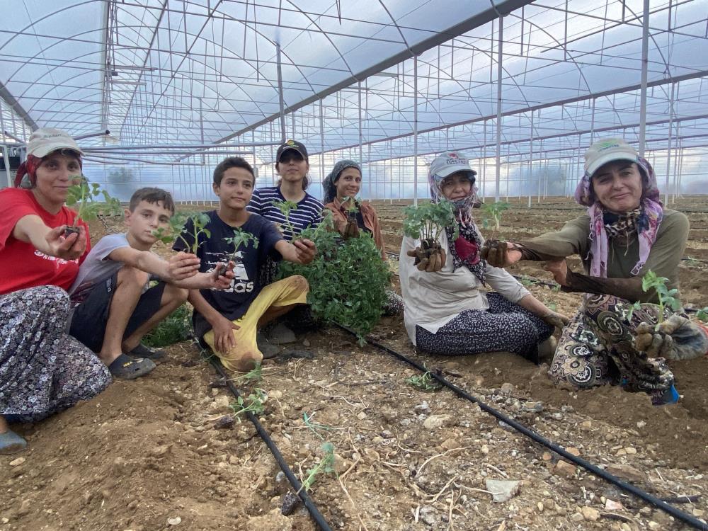 Aksudahummalicalismafideekildi