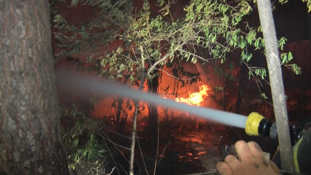 Aksudakorkutanyangin