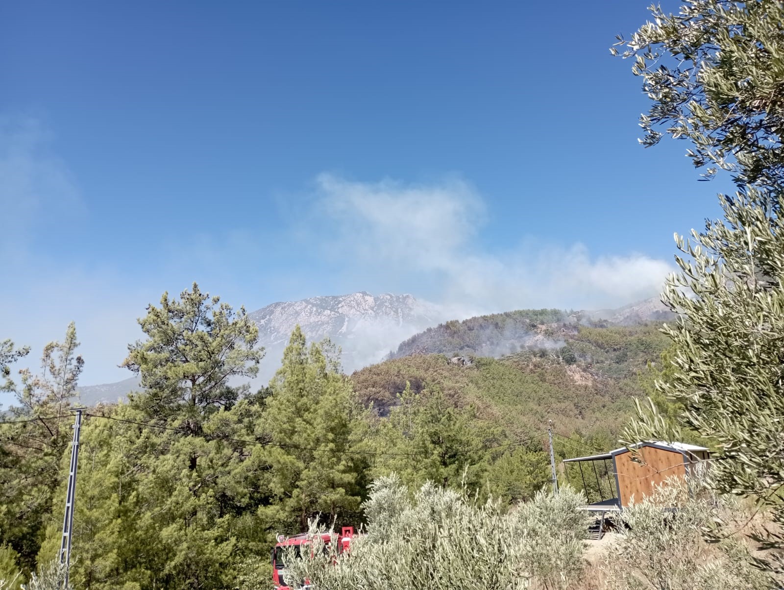 Alanyadaalevleryayildikontrolaltinaalinamadi