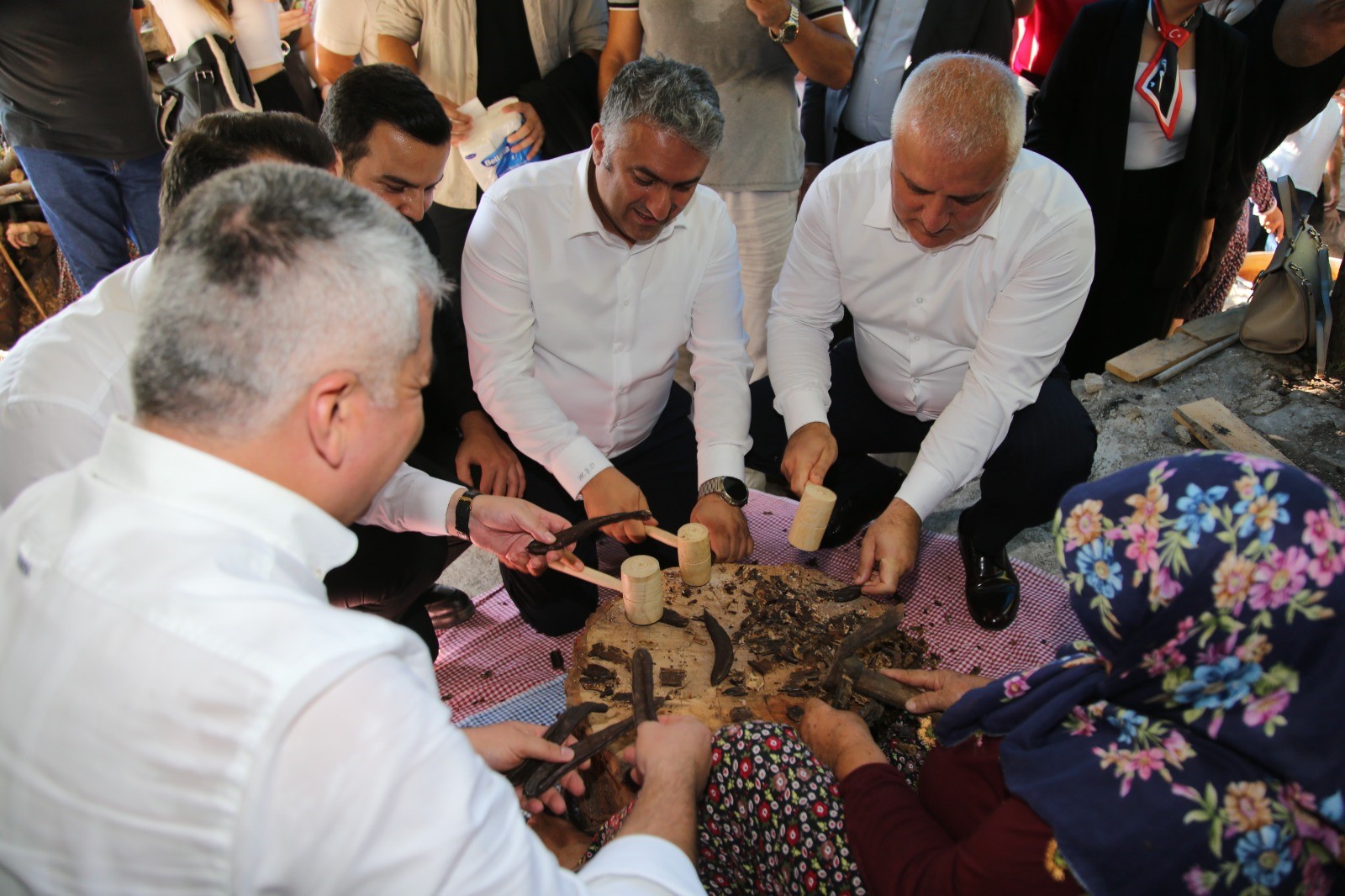 Alanyadakeciboynuzuhasadi