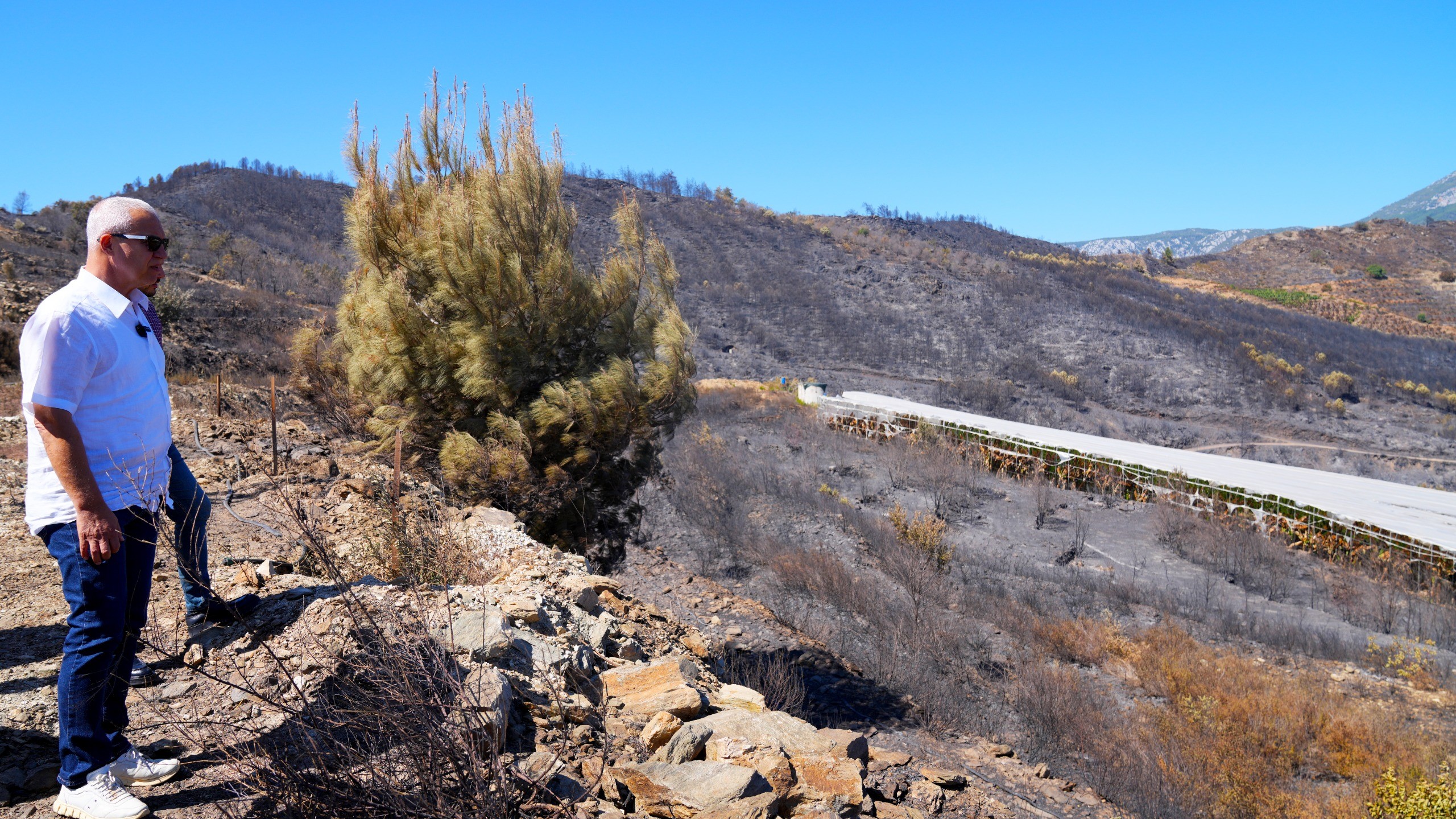 Alanyadantedbiruygulamasi