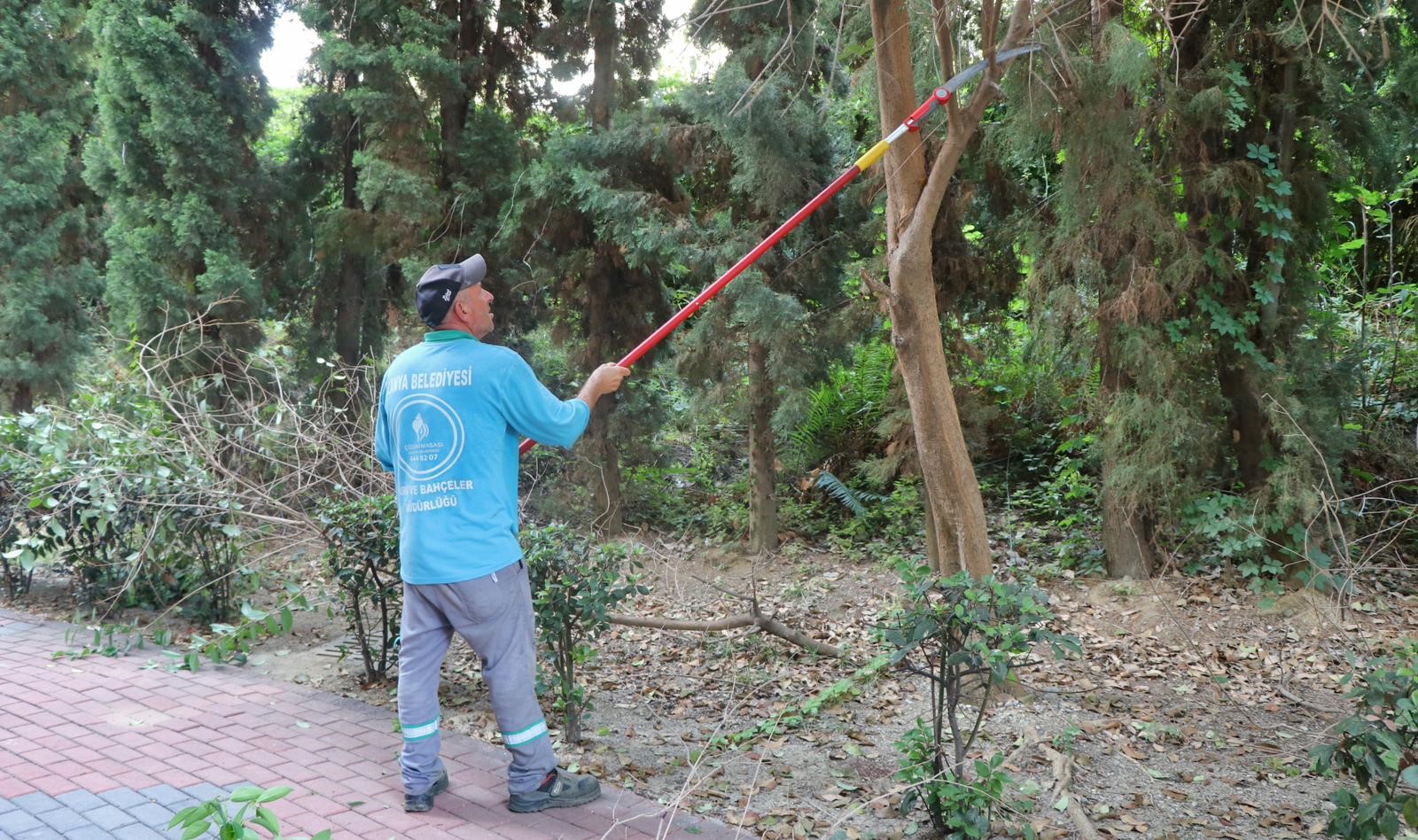 Alanyadaokullartemizlendi