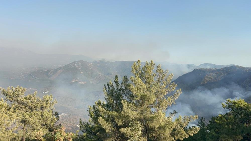 Alanyadaormanyanginicikti