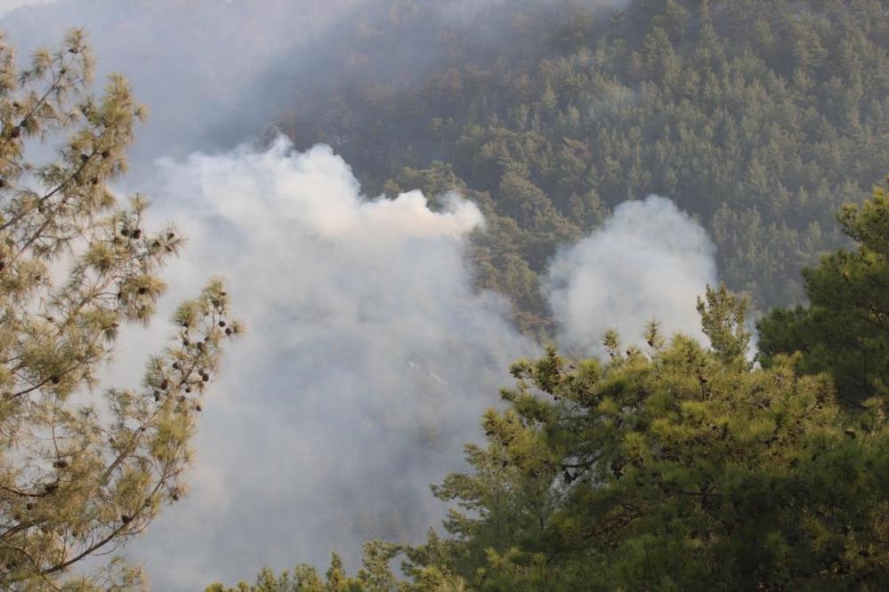 Alanyadaormanyanginisondurum