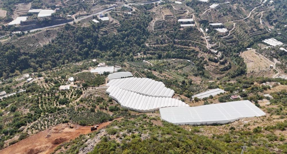 Alanyadatropikalmeyveyetisiyor