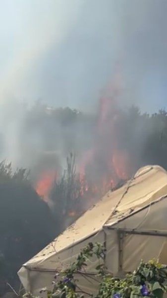 Alanyadayangincikti-1