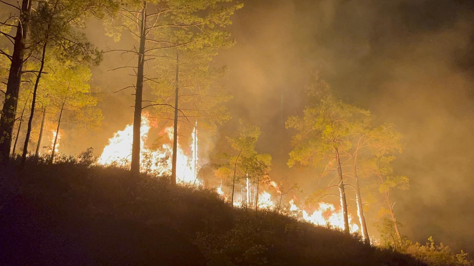 Alanyadayangincikti-2