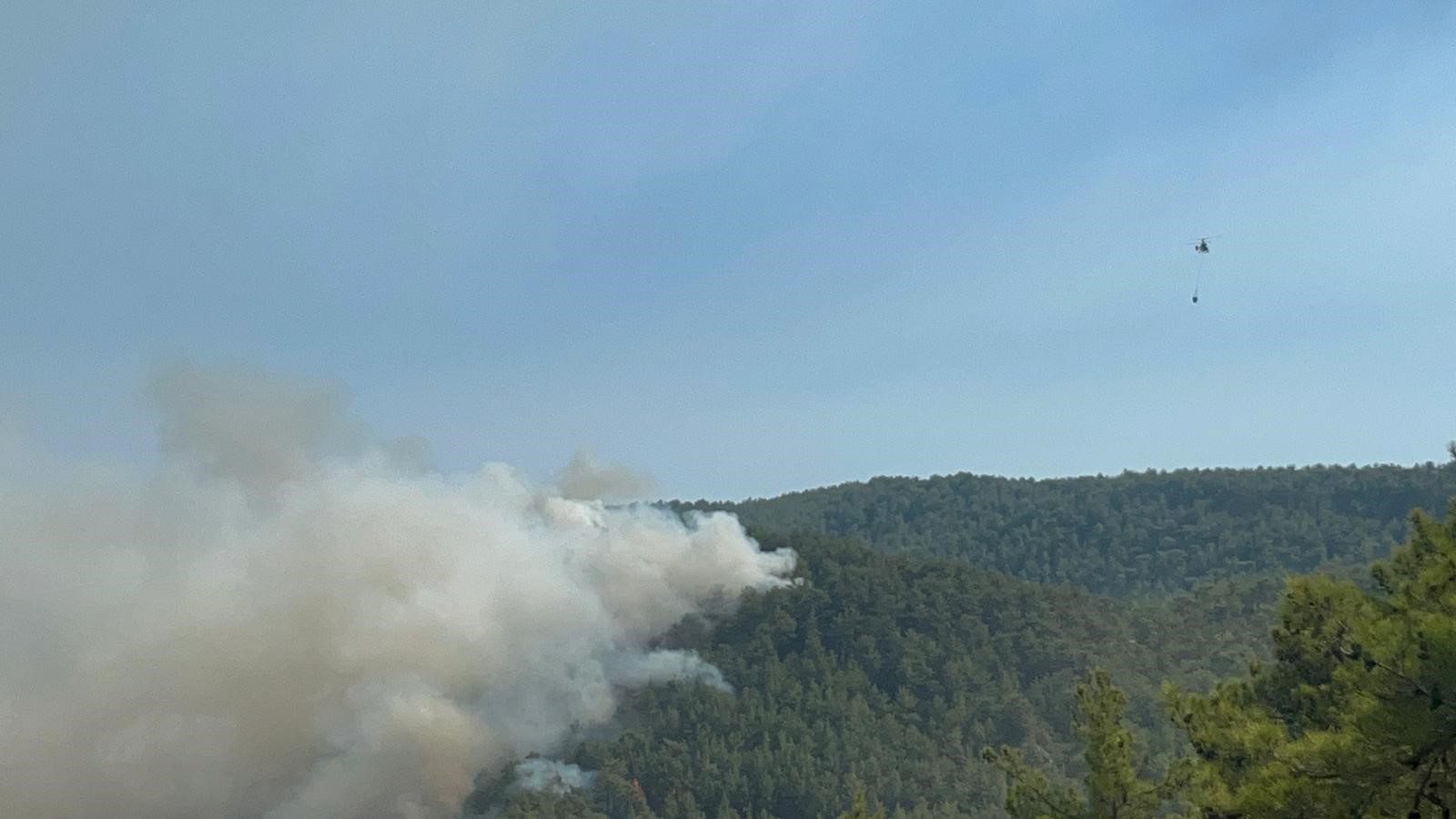 Alanyadayanginsonduruldumu