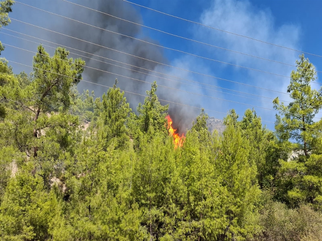 Alanyavekepezinardindanserikteyangincikti