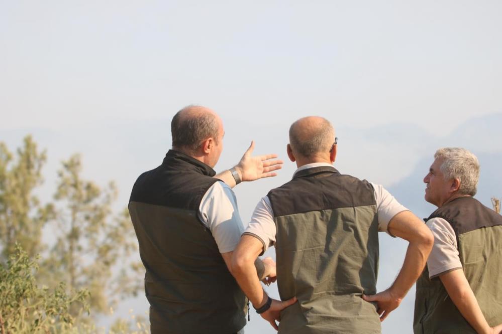 Alanyayanginlarindatektesellicankaybi