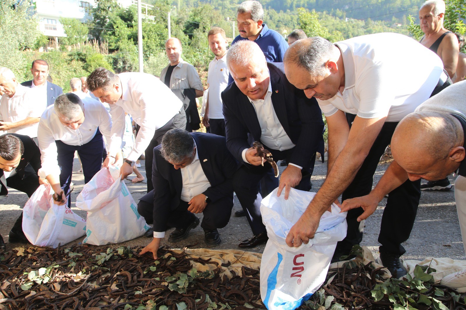 Alanyayayeniurunkazandirildi