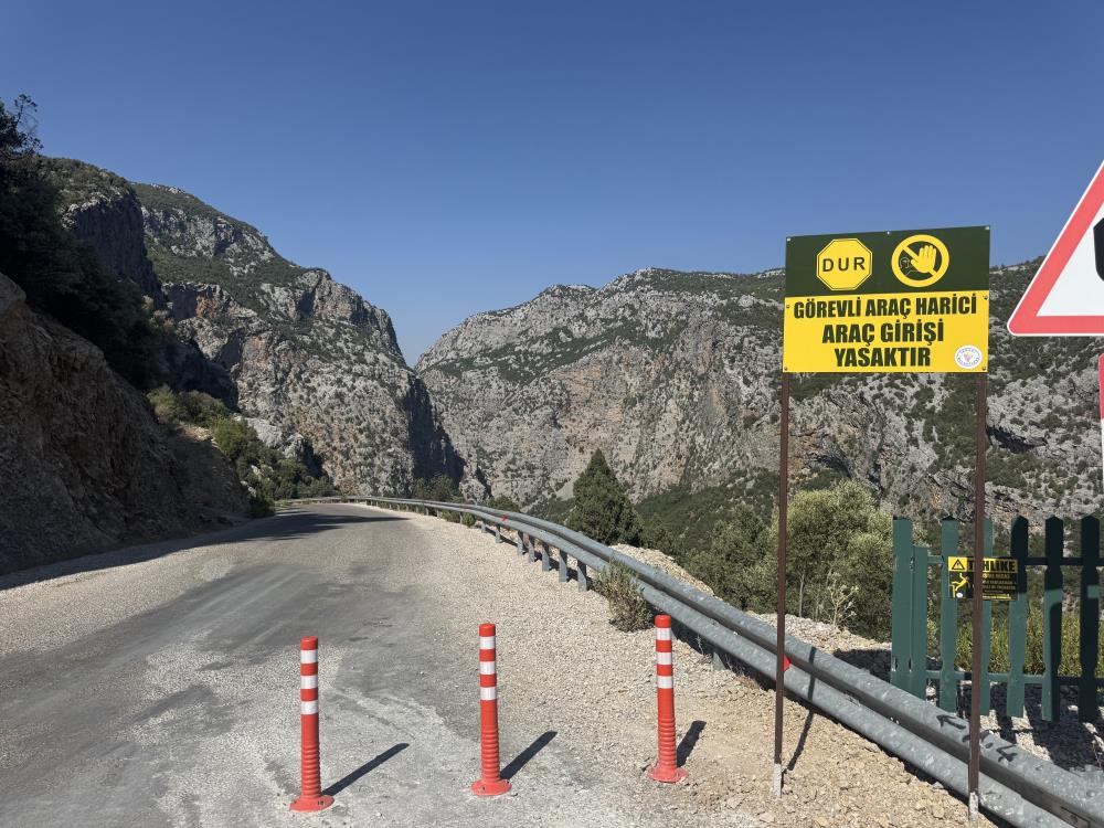 Altınbesikmagarasındasorunlarbitmiyor