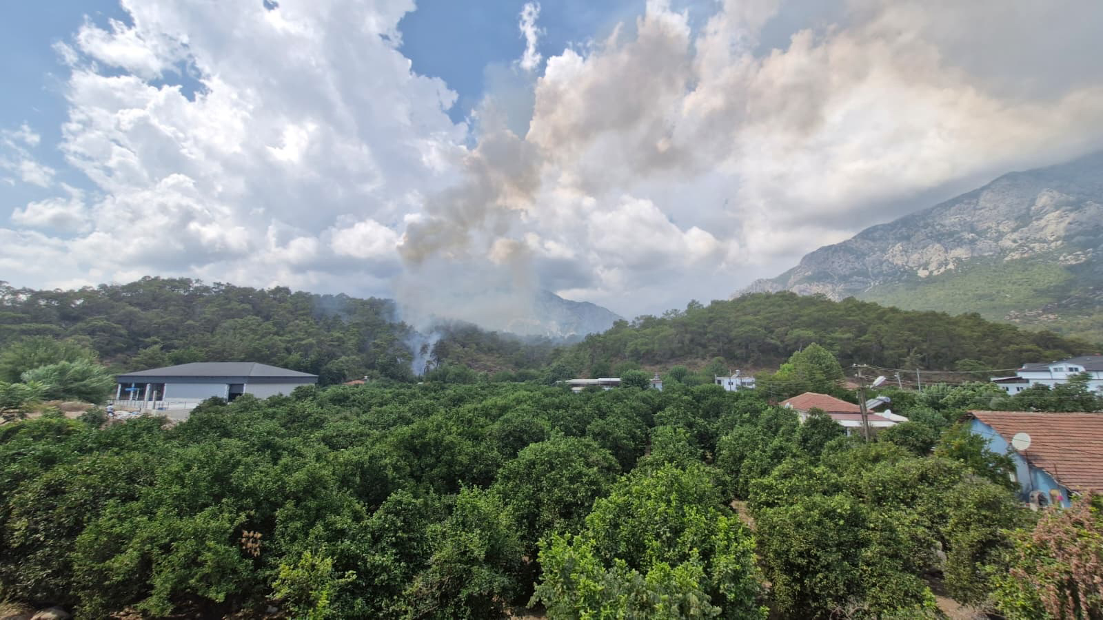 Antalyadabirormanyanginiddahacikti