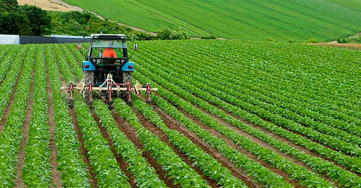 Antalyadaciftcikaybettiyarı