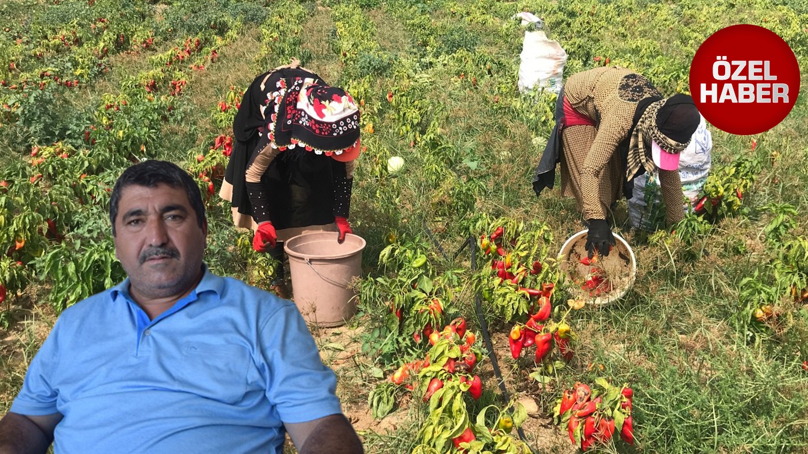 Antalyadaciftcikaybettiyarıyarıyazarartablosu-1