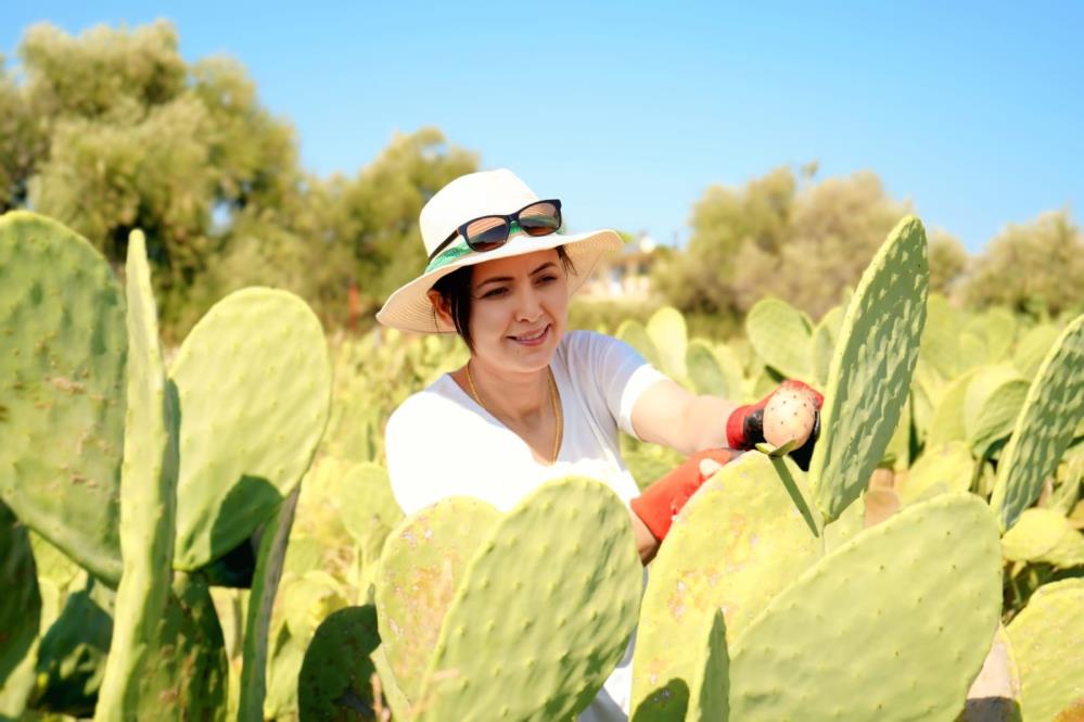 Antalyadailkkezdikenliincirbahcesikuruldu
