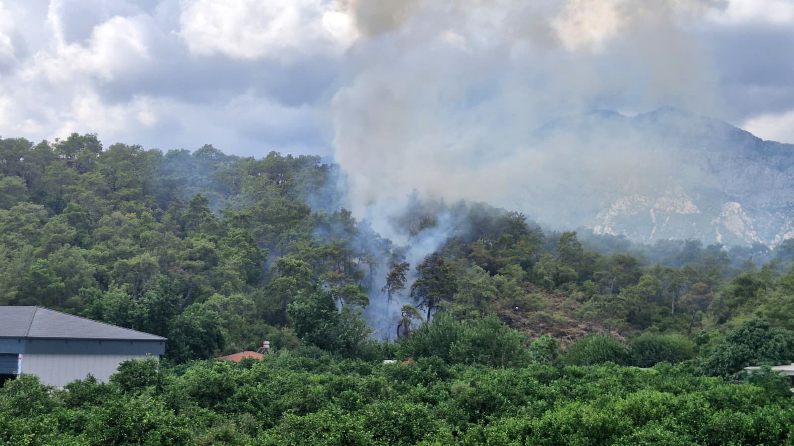 Antalyadaormanyanginicikti-1