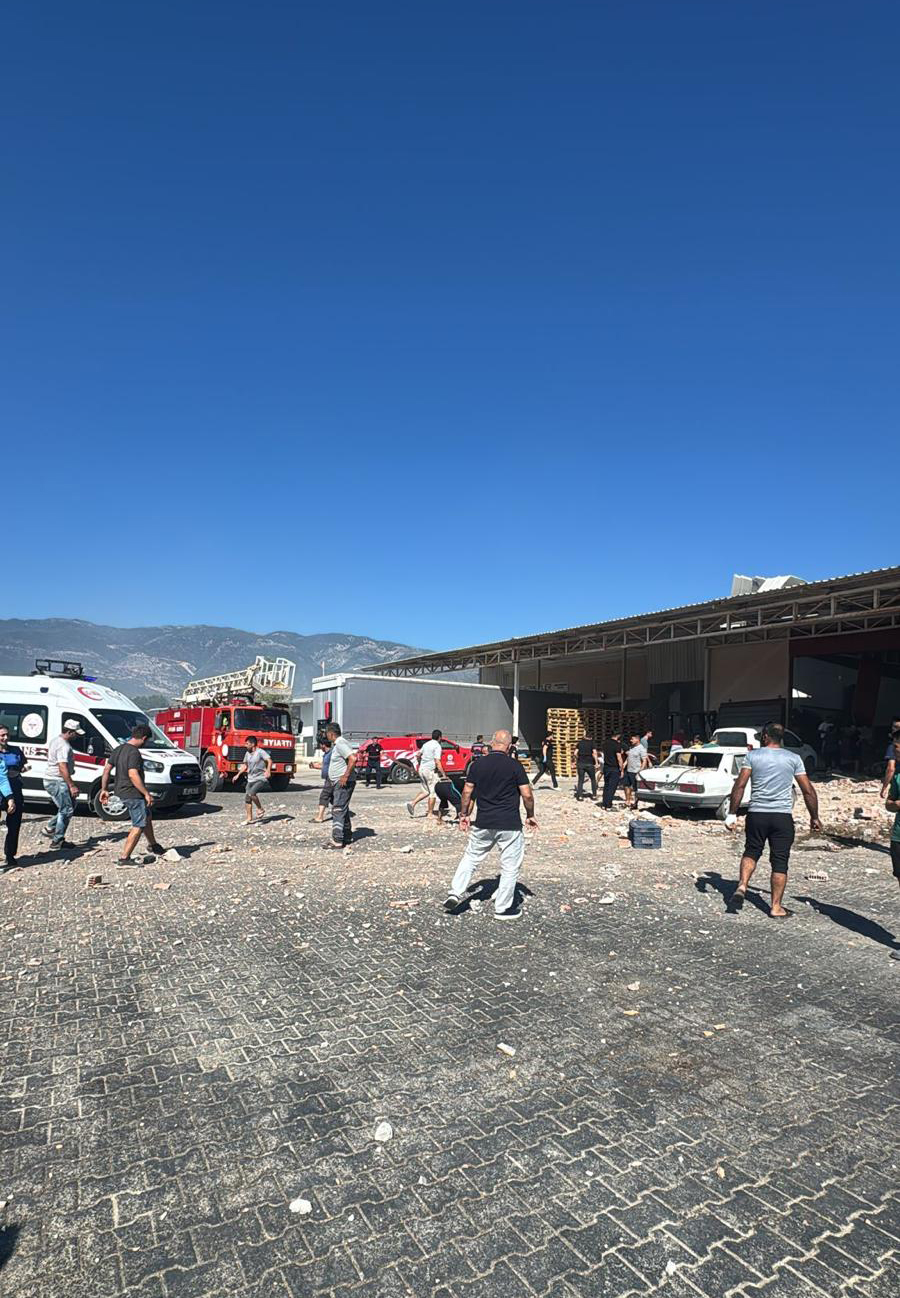 Antalyadapatlamapanigi