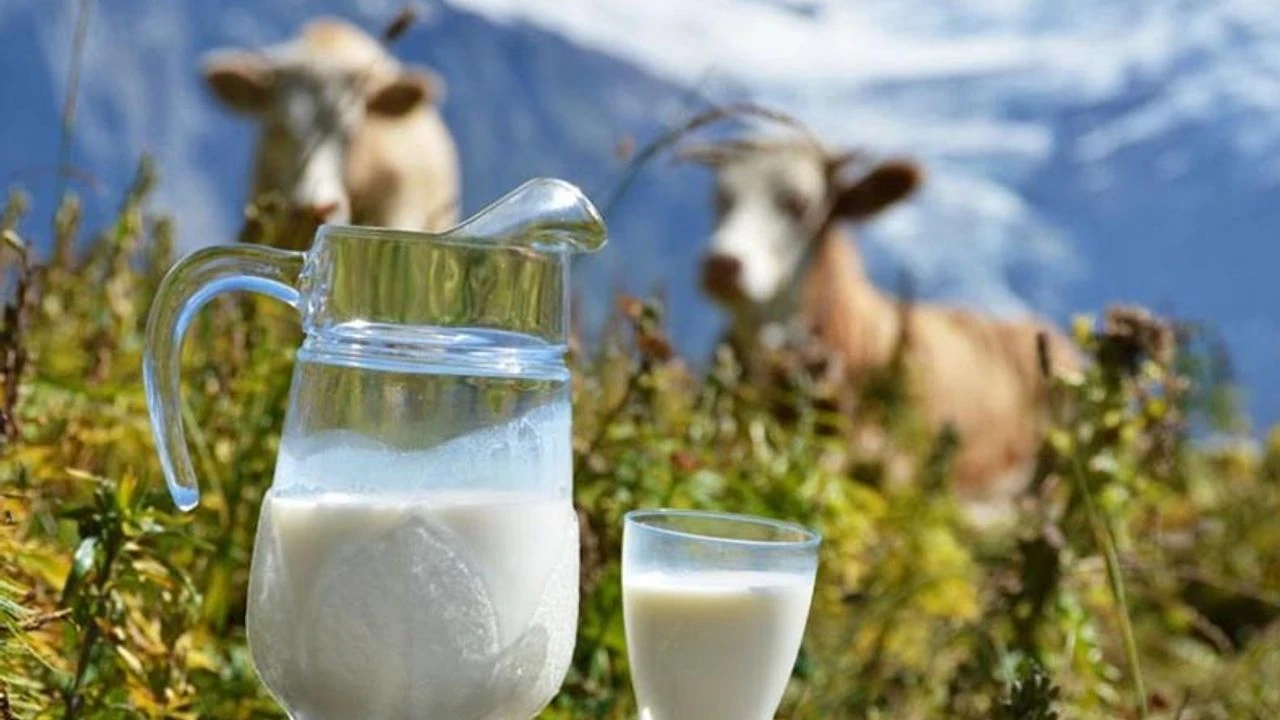 Antalyadasutpolemigikalıcımıgostermelikmi