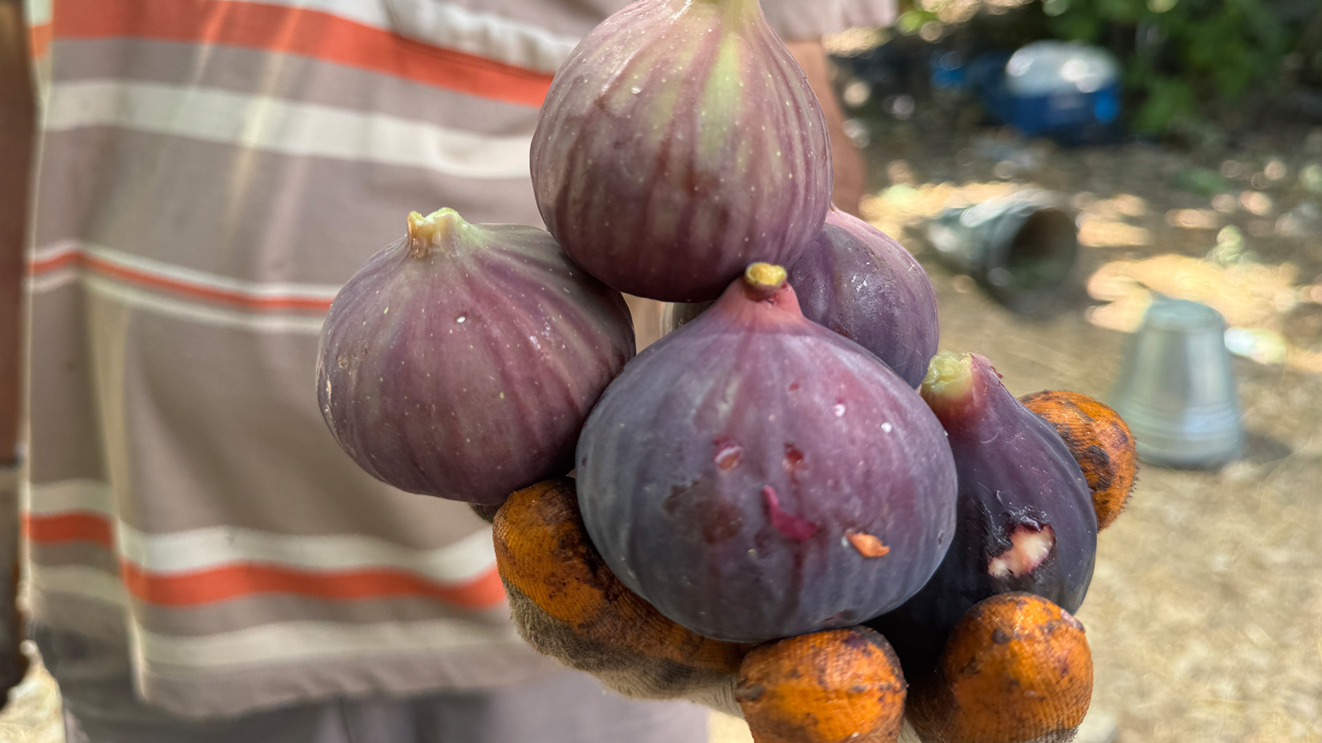 Antalyadaureticimutsuzincirhasadikotugecti