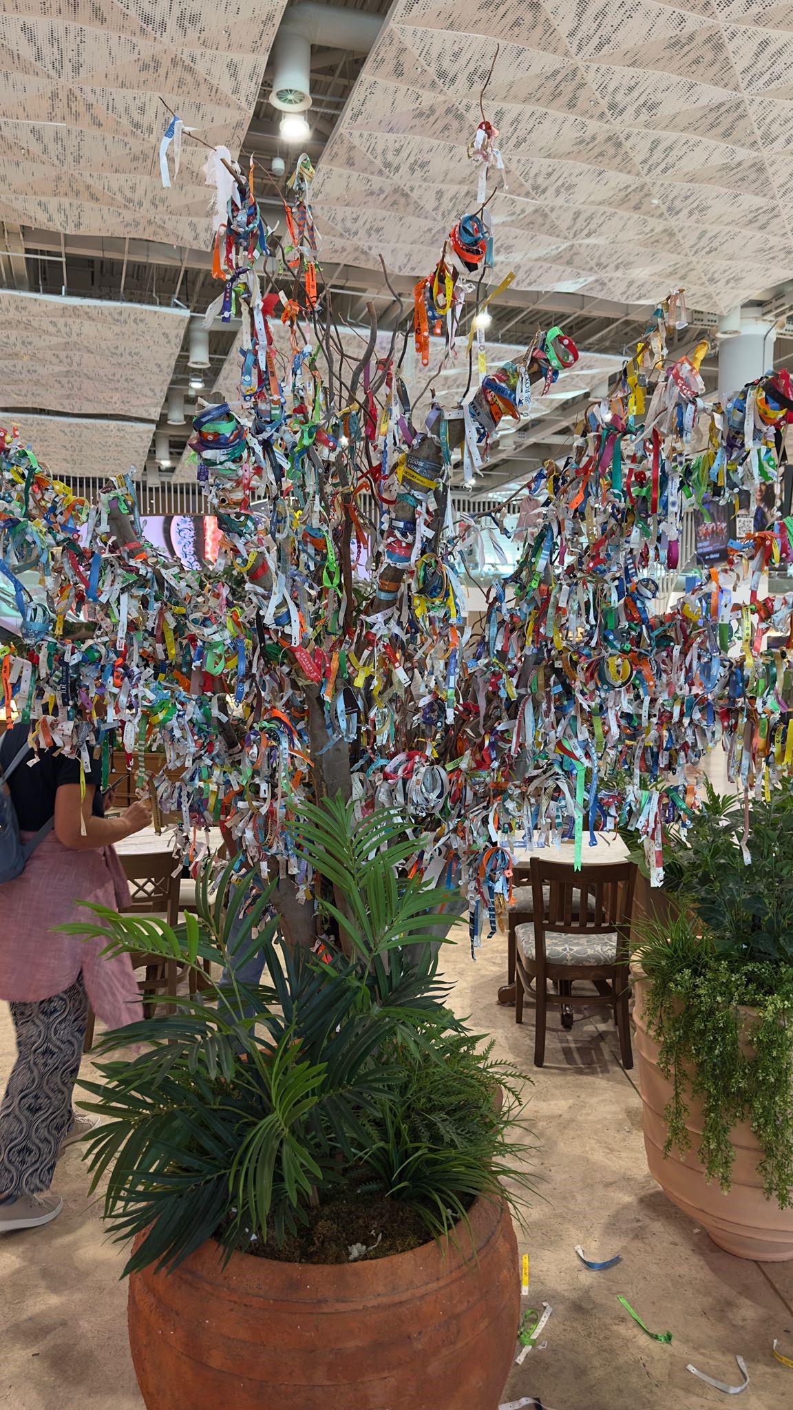 Antalyahavalimanindadilekagaci