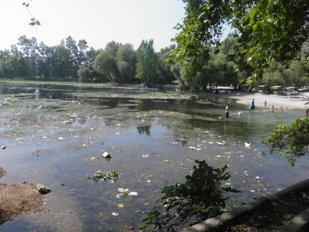 Asatkirkgozdetemizlikcalismasigerceklestirdi