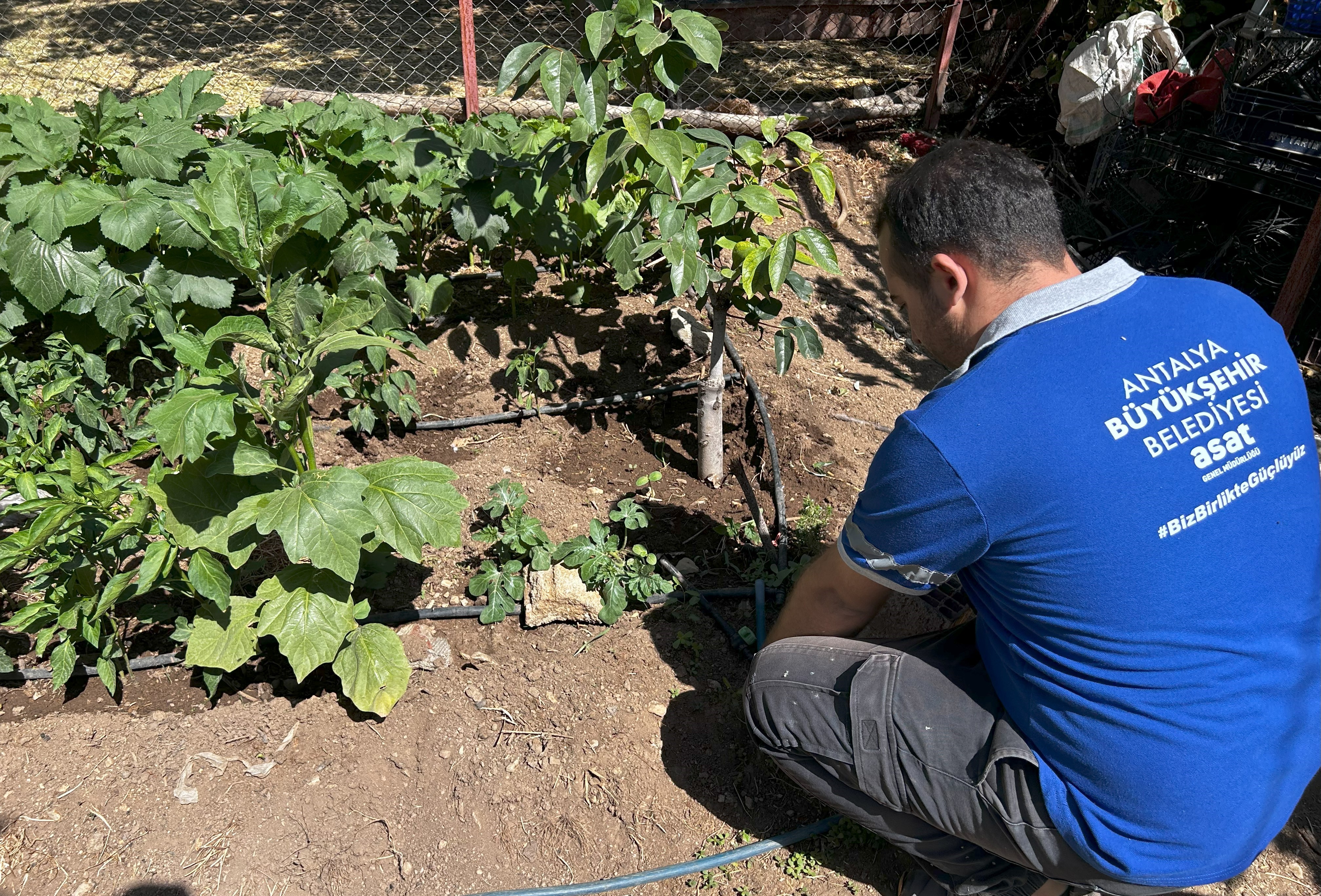 Asattarafindandenetimlersuruyor