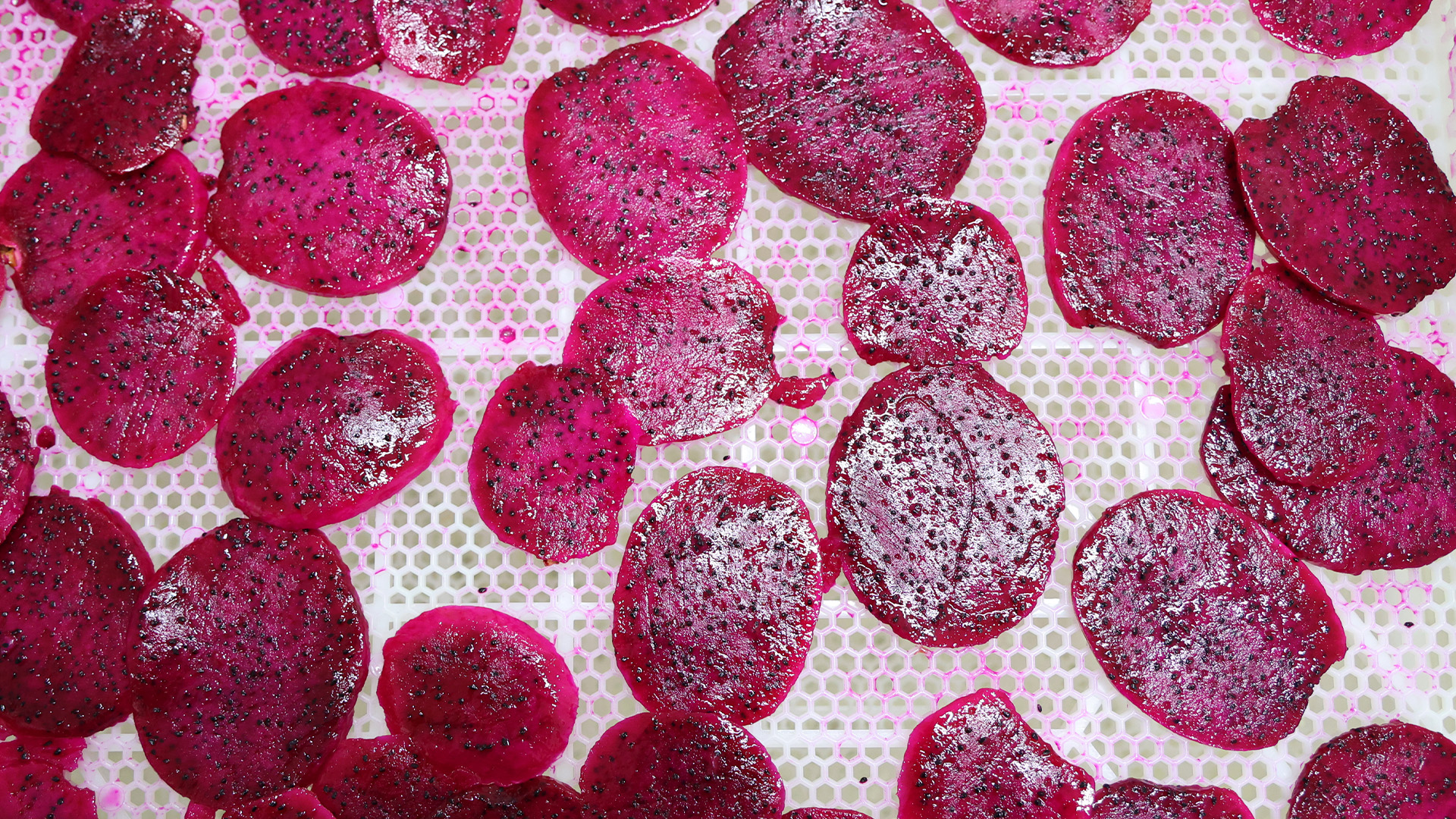 Buyuksehirekonomiyekatkisagliyor