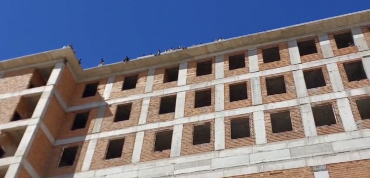 Canlarınakıymayakalkıstılar