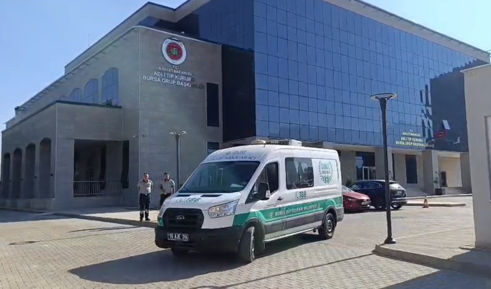 Denizdebaliklarcansizbedeniniyedi