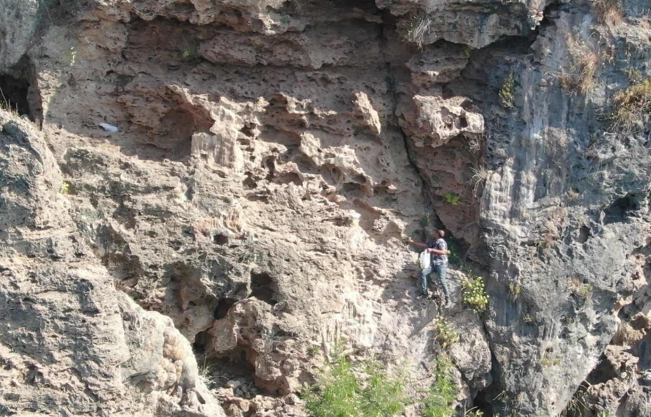 Dikyamaclardaottopluyor