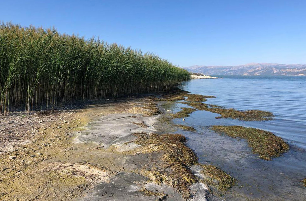 Egirdirgolundekisazliklarinyokedilmesitartismayaratti