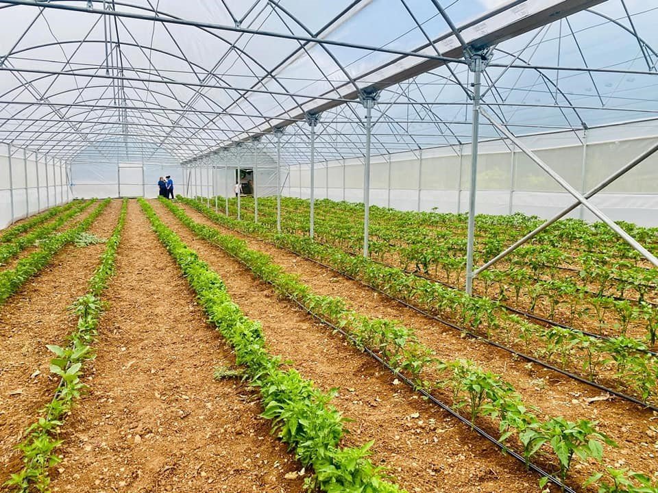 Elmalıdaciftcizordurumda