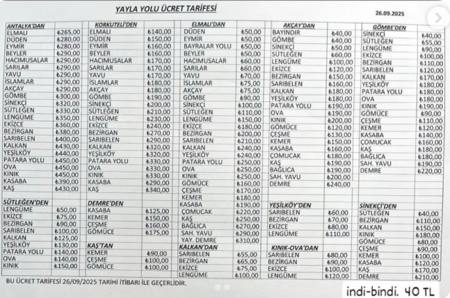 Elmalıdaotobuslereyenizam