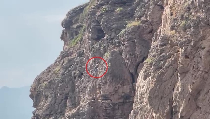 Falezlerdemahsurkaldisanildigercekbambaskacikti