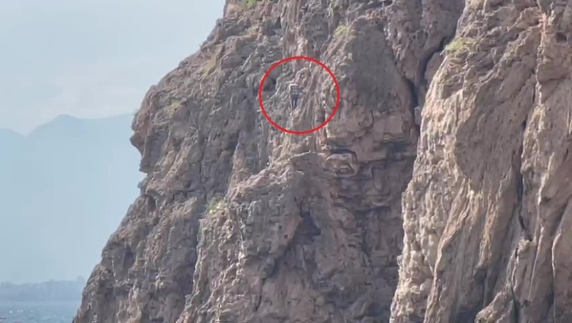 Falezlerdemahsurkaldizannetiler