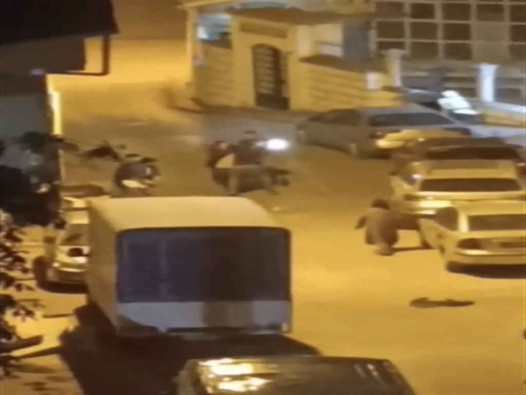 Fatihtedamacanahırsızlıgındancıkankavgakameralarda