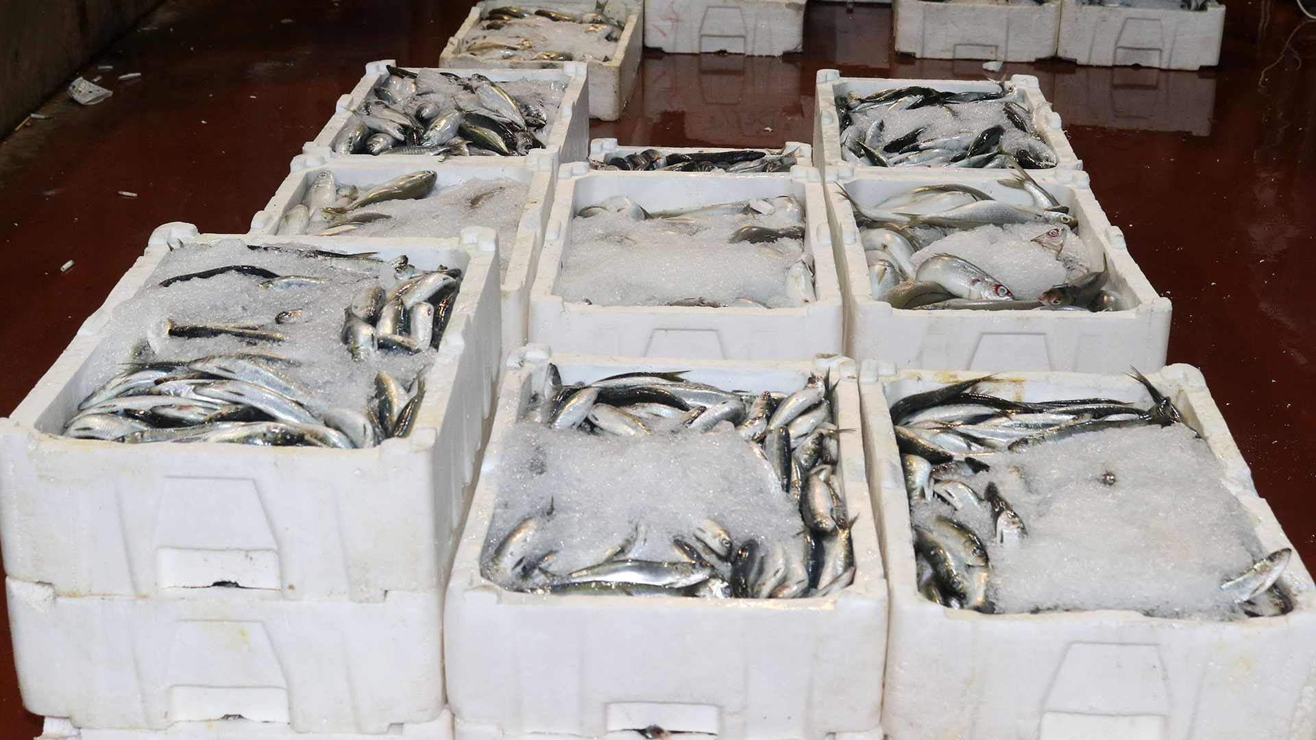 Haldefiyatlardahaucuz